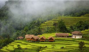 Voyage organisé Nord Vietnam 2 semaines